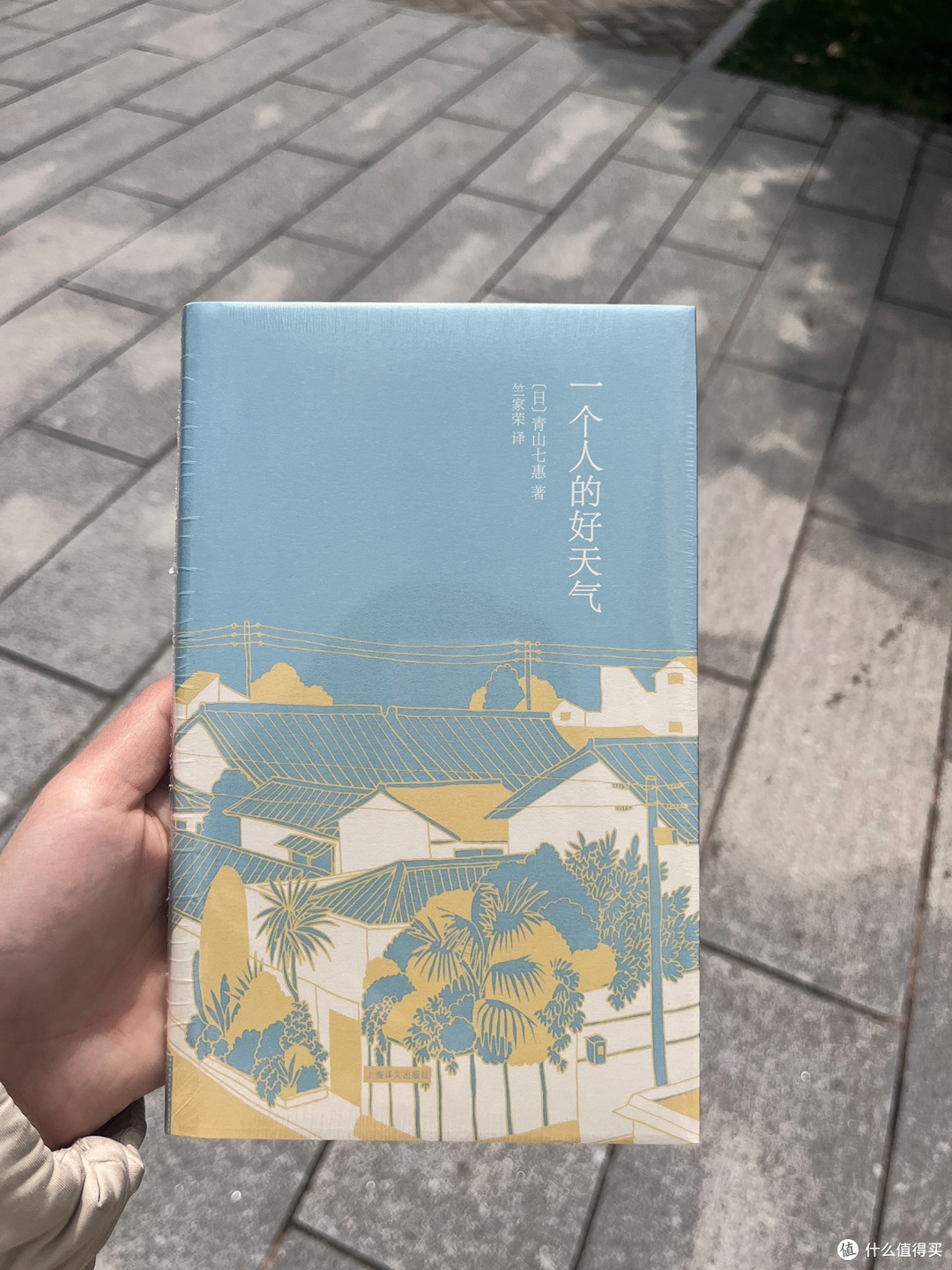 独处时翻《一个人的好天气》,原来孤独也能开出花