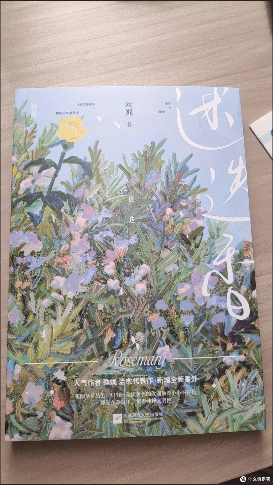 迷迭香 殊娓著相互救赎新增番外都市言情小说