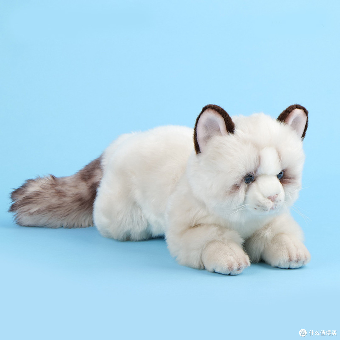 被真猫当成同类的仿真白猫!我直接锁死这个治愈神器