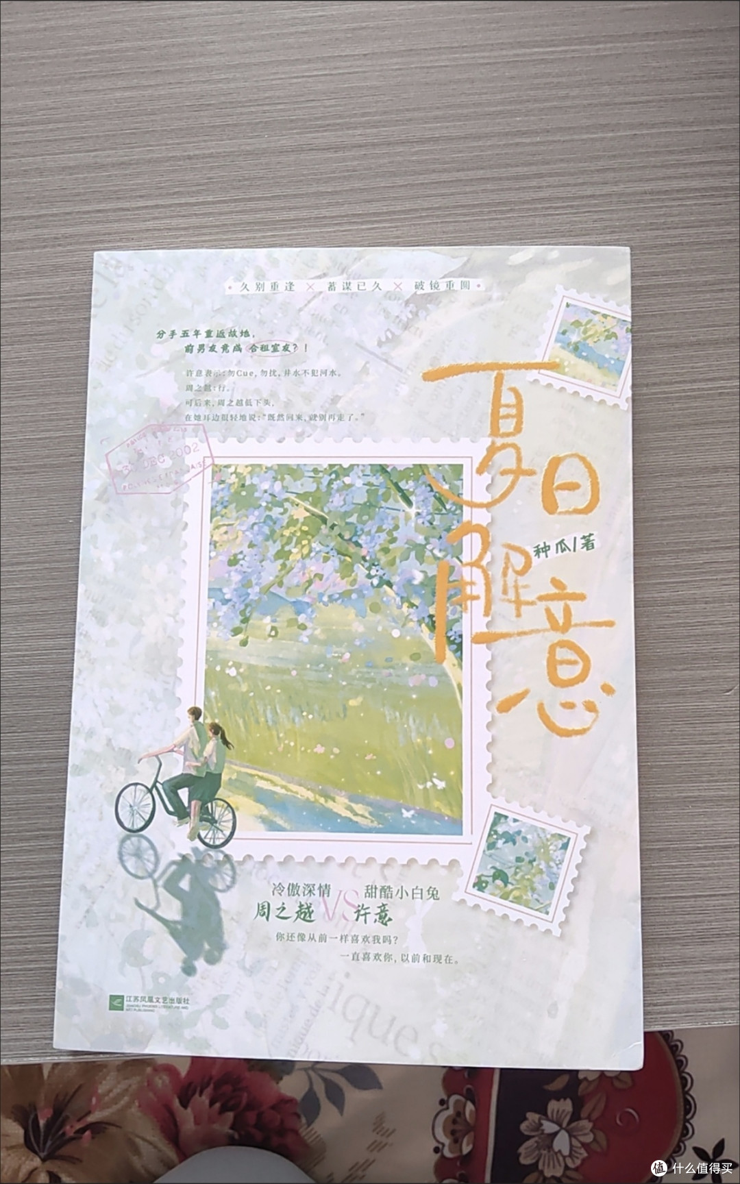 夏日解意 种瓜著 都市言情 甜宠文 久别重逢破镜重圆