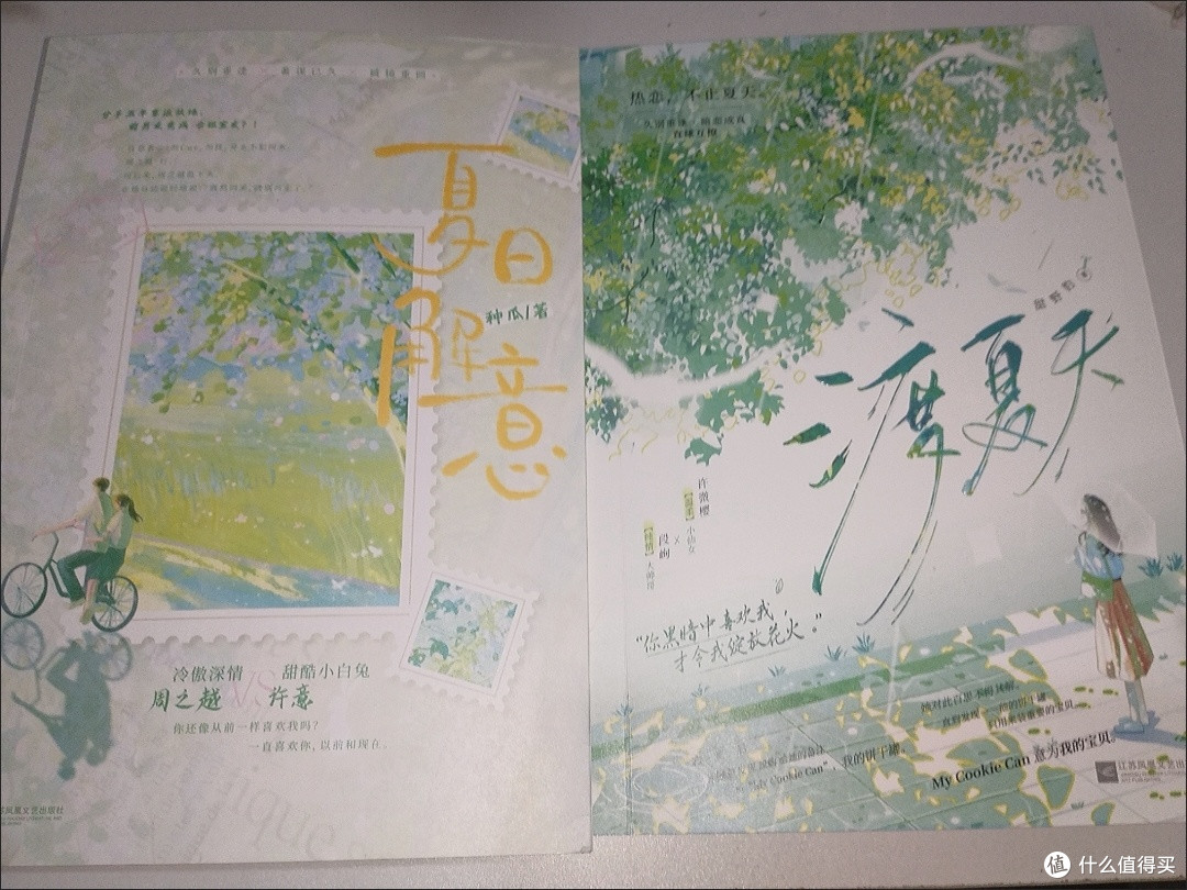 夏日解意 种瓜著 都市言情 甜宠文 久别重逢破镜重圆