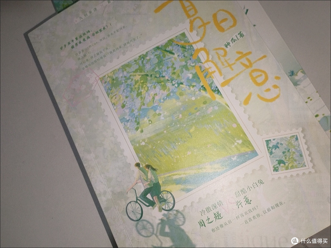 夏日解意 种瓜著 都市言情 甜宠文 久别重逢破镜重圆