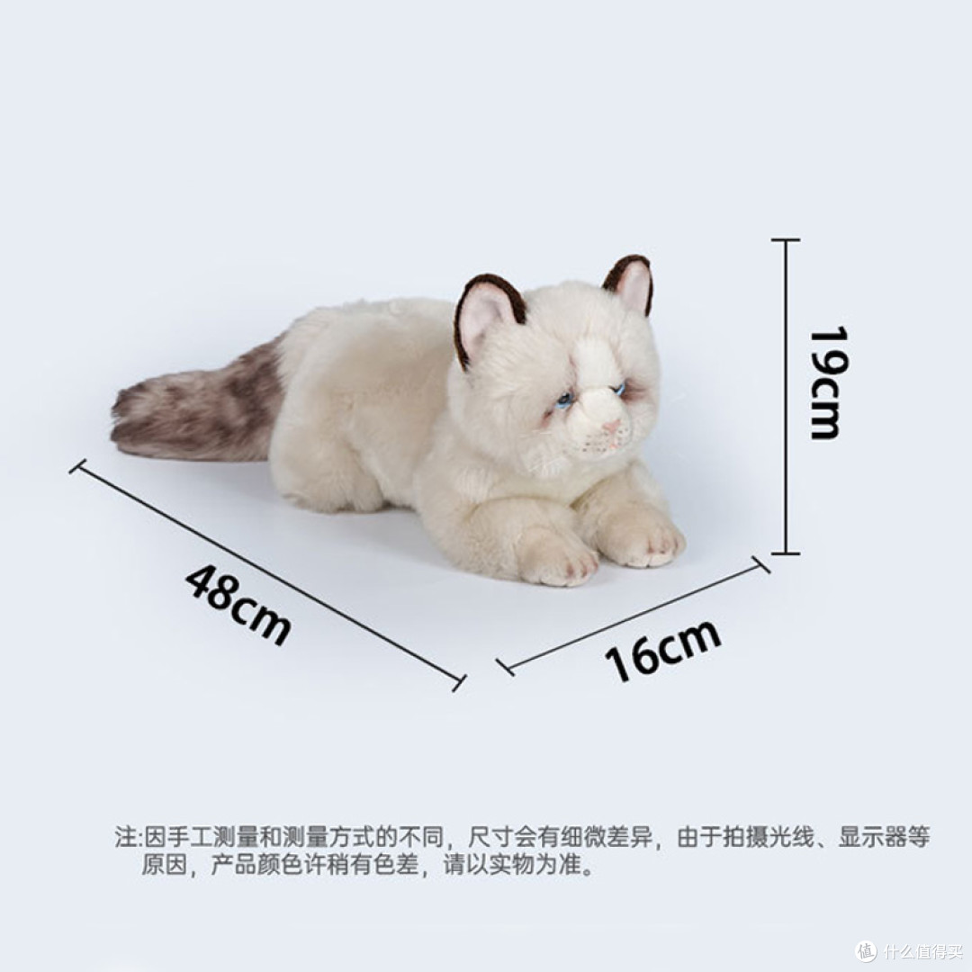 被真猫当成同类的仿真白猫!我直接锁死这个治愈神器