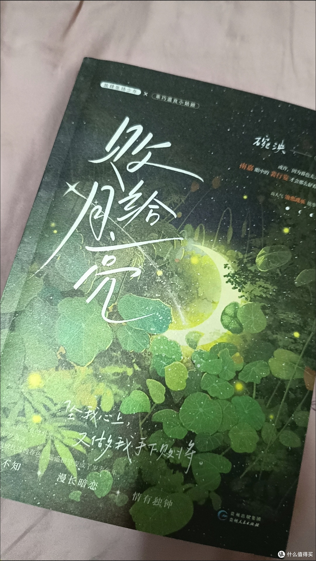 败给月亮碗泱著治愈校园浪子回头暗恋言情小说实体正版博库正版