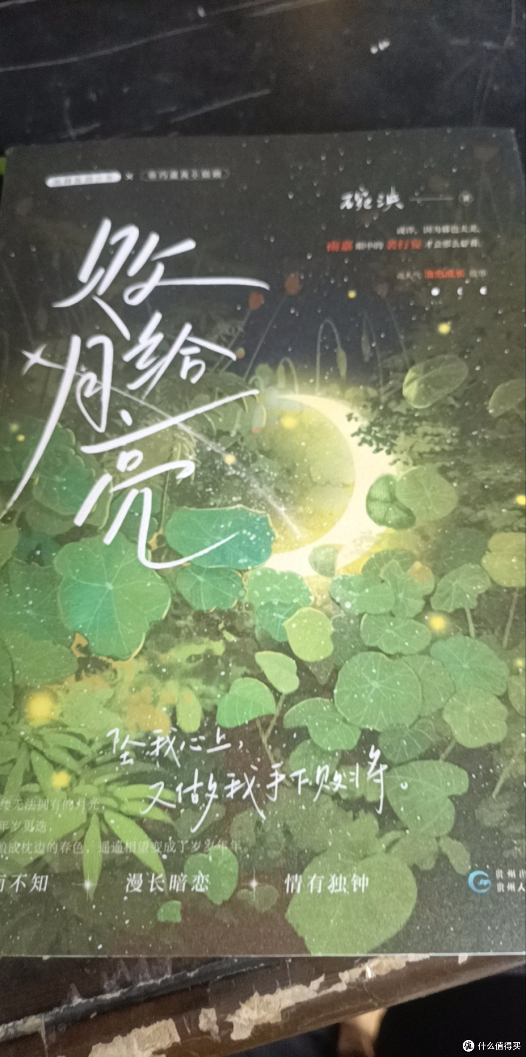 败给月亮碗泱著治愈校园浪子回头暗恋言情小说实体正版博库正版