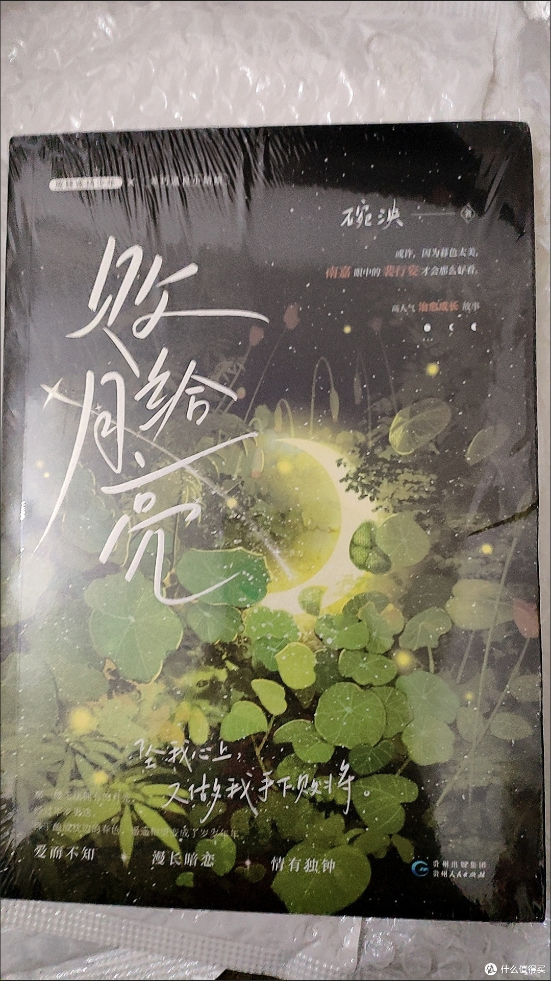 败给月亮碗泱著治愈校园浪子回头暗恋言情小说实体正版博库正版