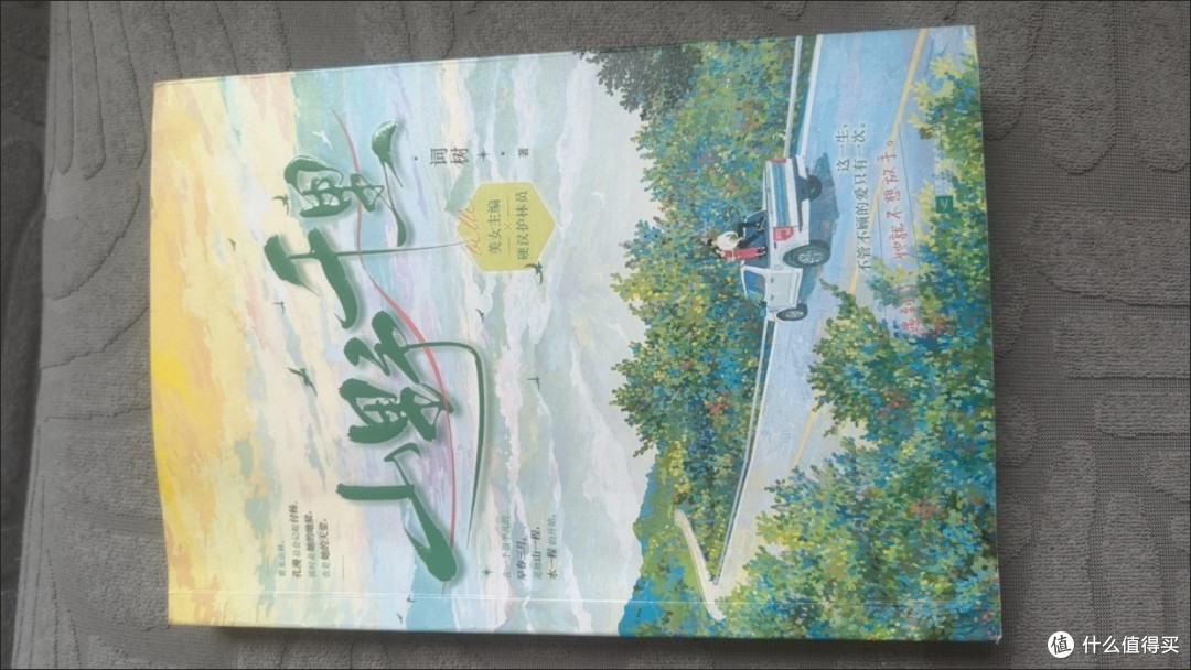 山野千里 词树 著 现代都市意难平be青春文学言情小说书籍
