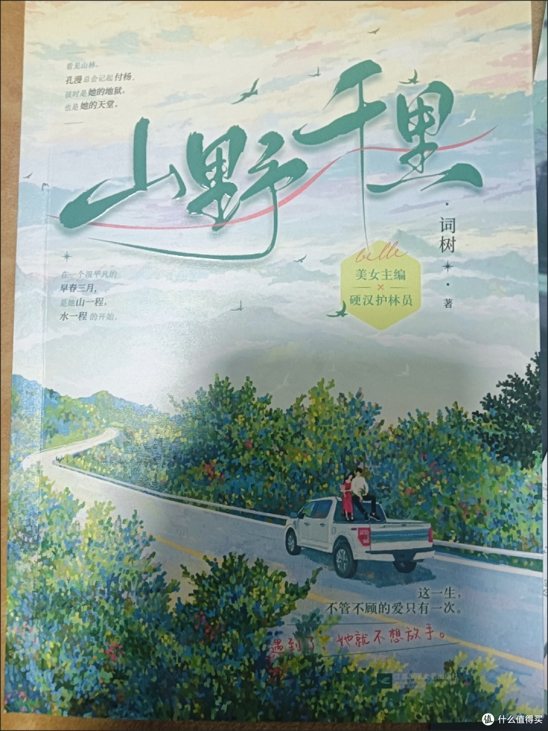 山野千里 词树 著 现代都市意难平be青春文学言情小说书籍