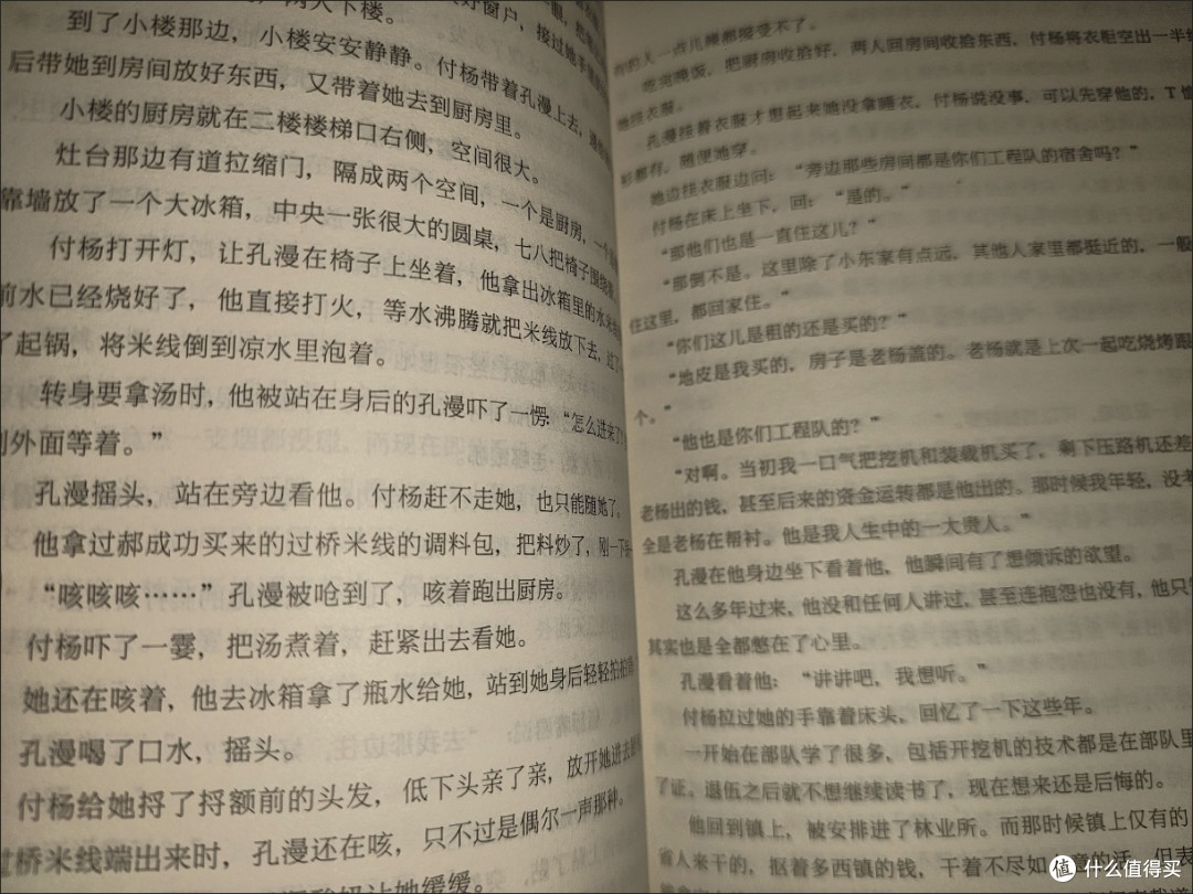 山野千里 词树 著 现代都市意难平be青春文学言情小说书籍