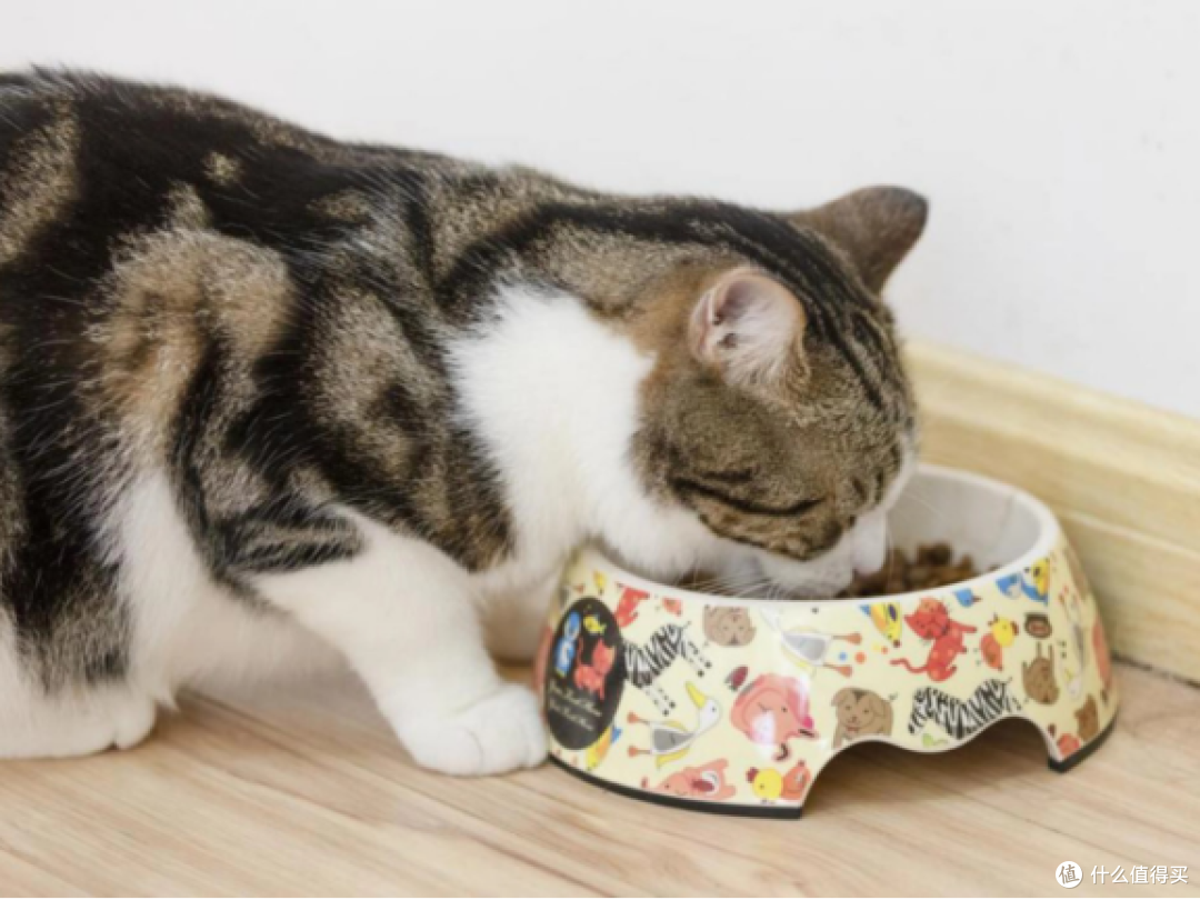 进口猫粮好吗?猫粮排行榜靠前的希喂、艾萨克猫粮实测