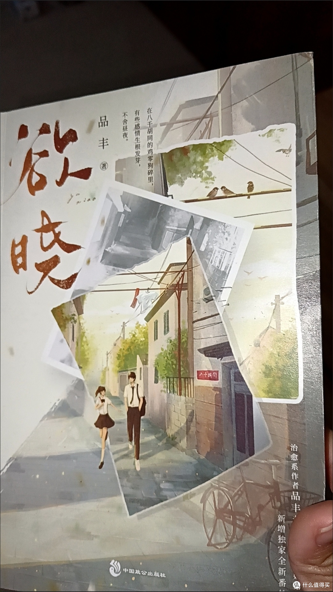 欲晓 青春文学校园都市言情小说治愈系作者品丰代表作