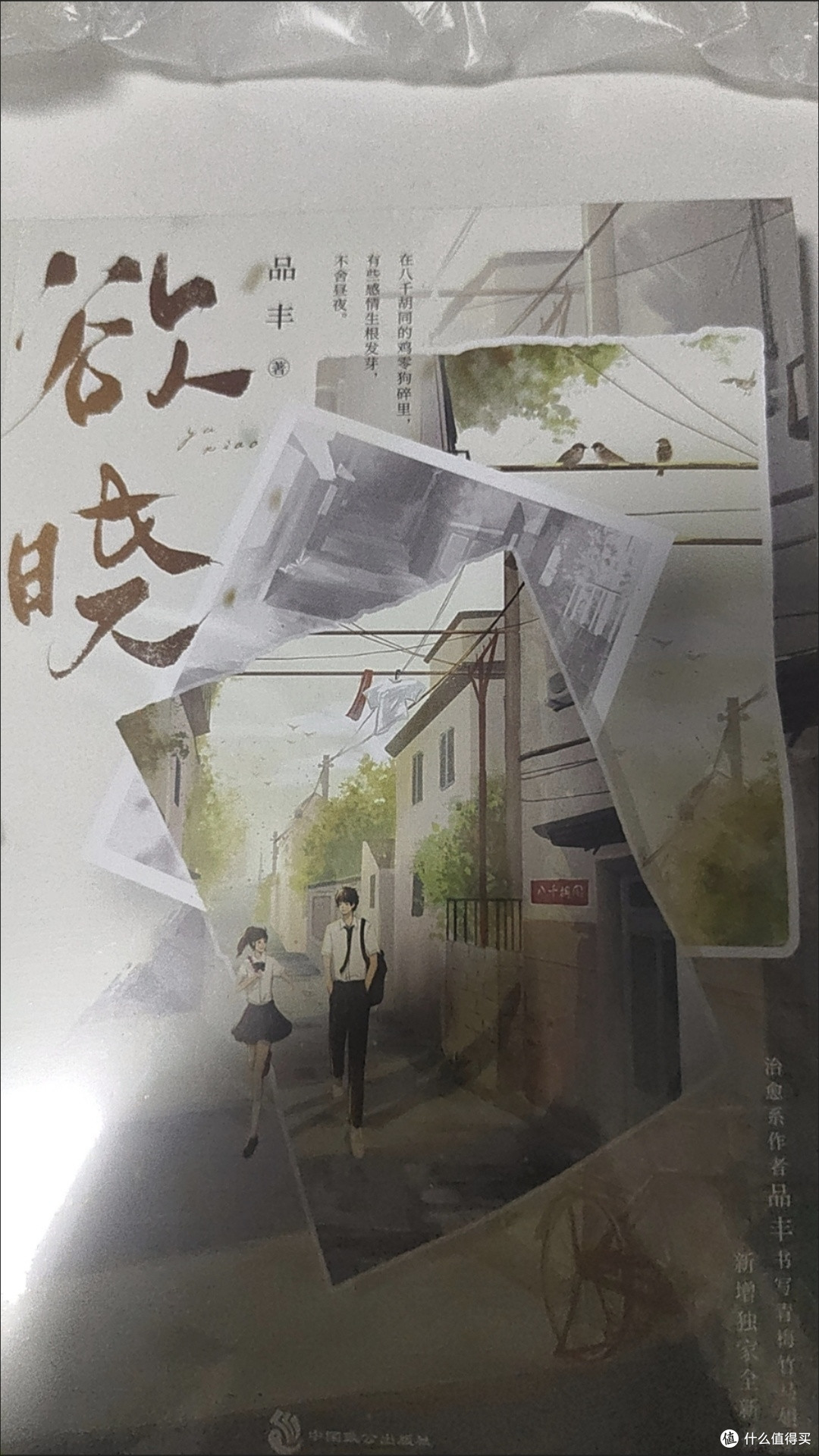 欲晓 青春文学校园都市言情小说治愈系作者品丰代表作
