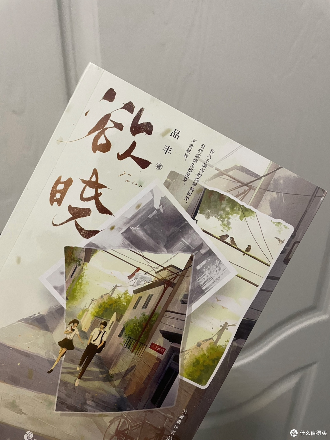 欲晓 青春文学校园都市言情小说治愈系作者品丰代表作
