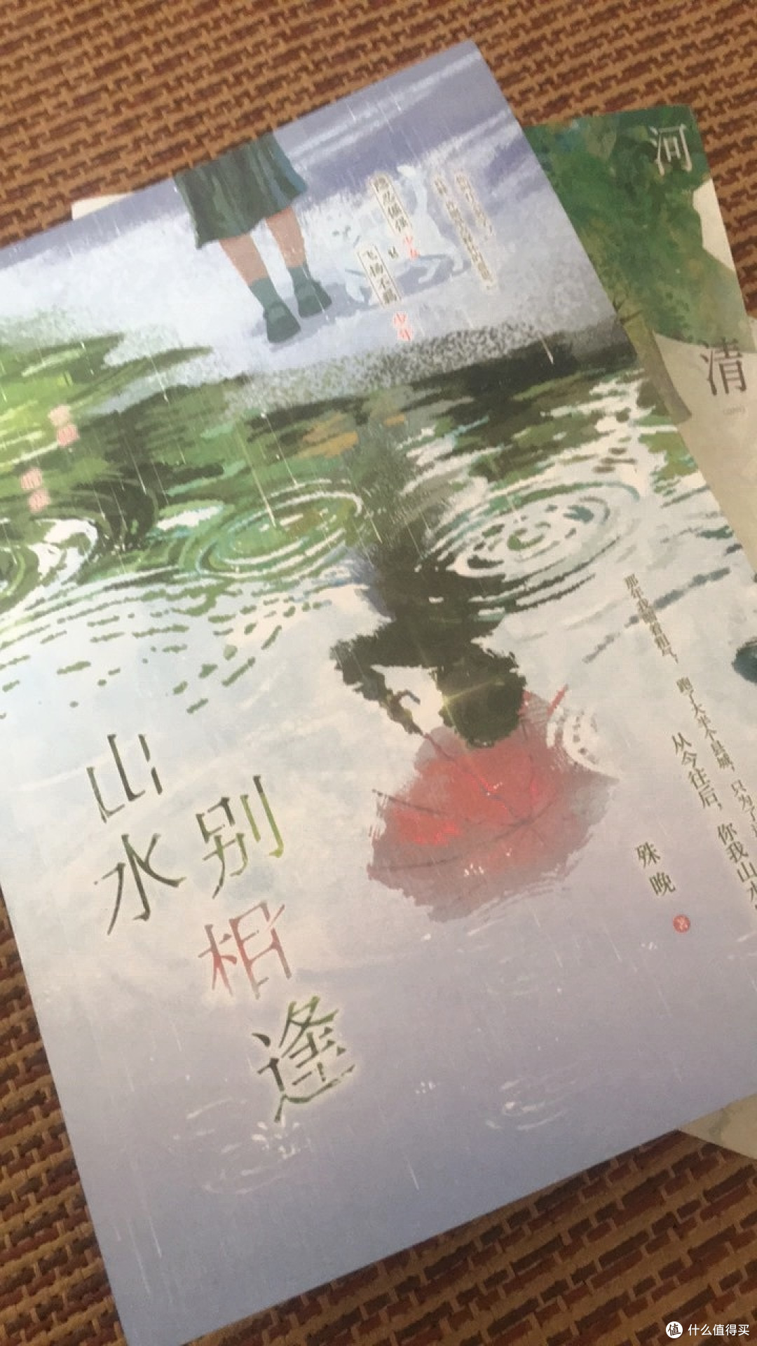 山水别相逢 殊晚 青春校园暗恋救赎BE意难平言情小说
