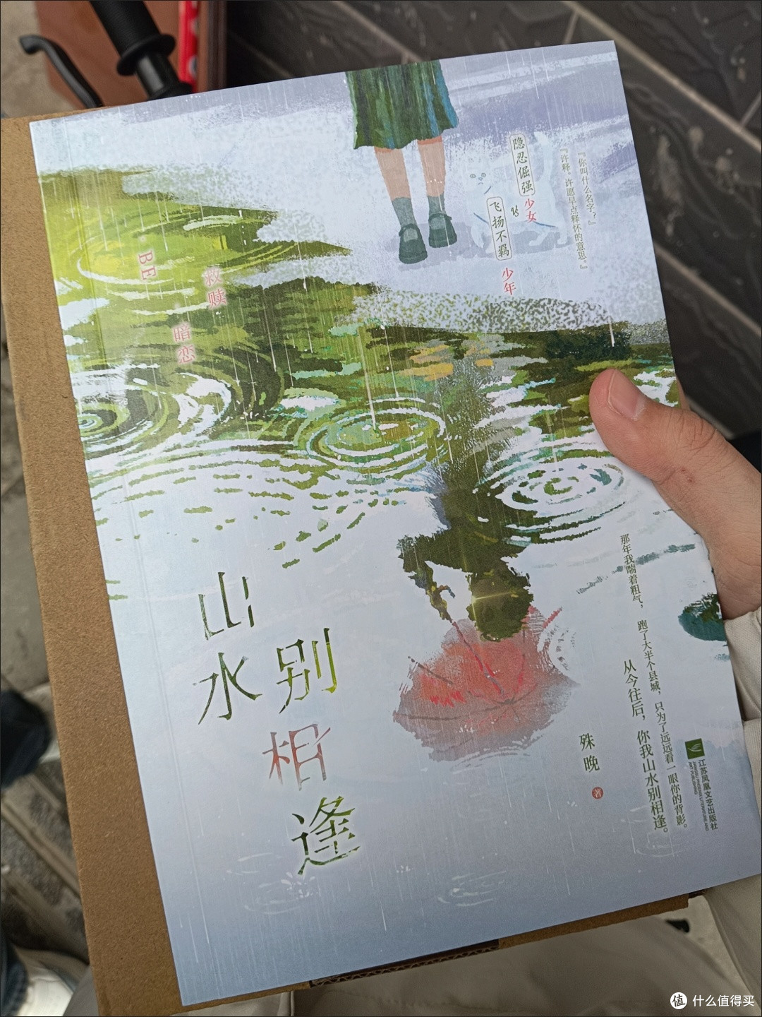 山水别相逢 殊晚 青春校园暗恋救赎BE意难平言情小说