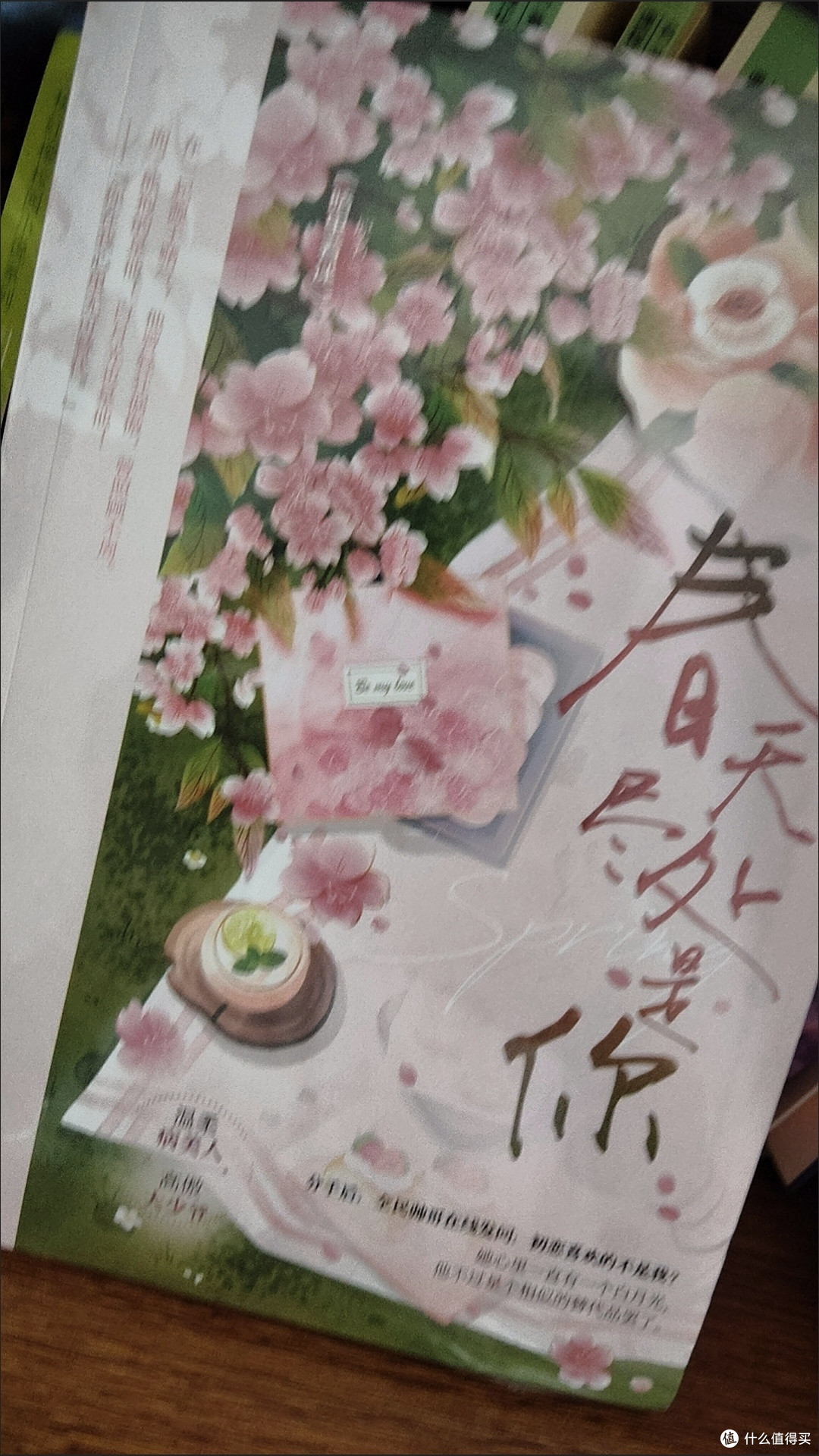 春天尽处是你 桃禾枝 校园初恋破镜重圆甜宠言情小说