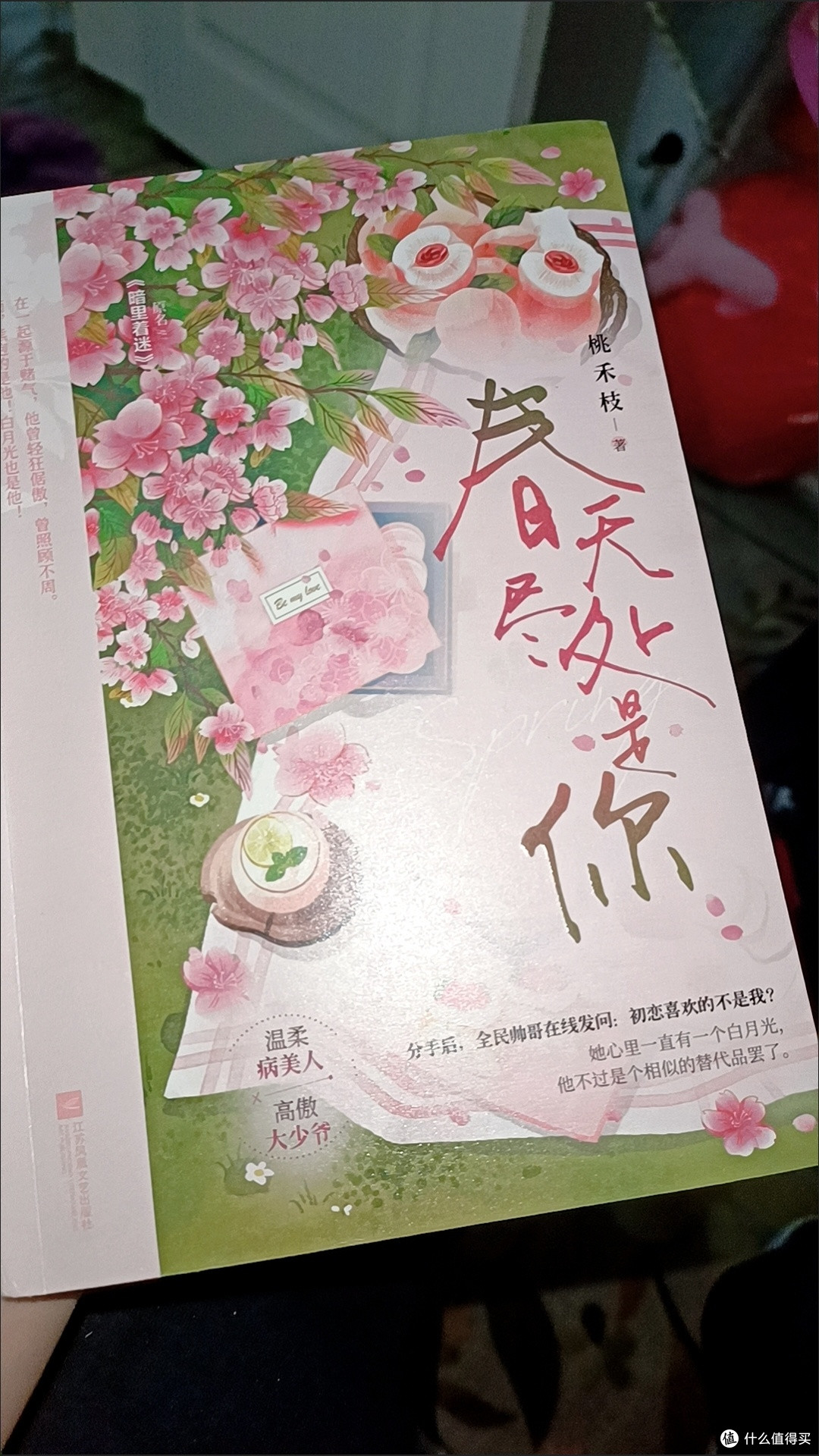 春天尽处是你 桃禾枝 校园初恋破镜重圆甜宠言情小说