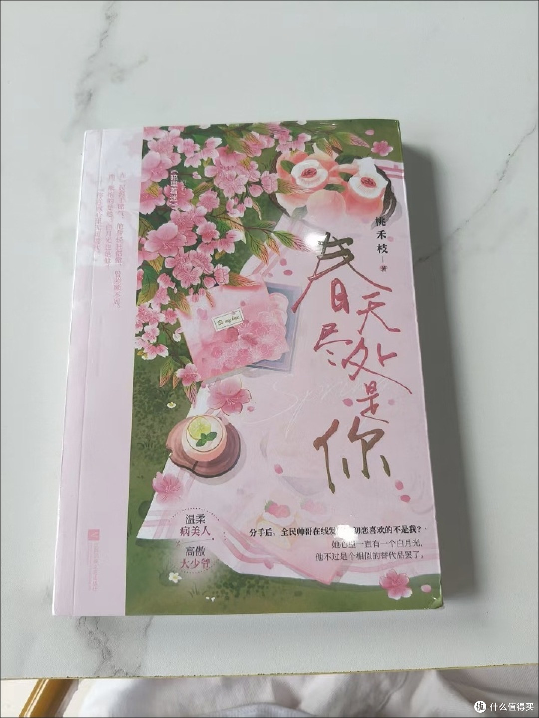 春天尽处是你 桃禾枝 校园初恋破镜重圆甜宠言情小说