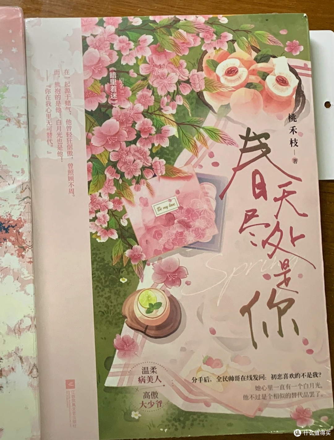 春天尽处是你 桃禾枝 校园初恋破镜重圆甜宠言情小说