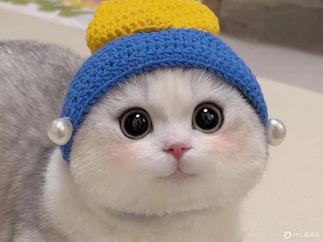 猫粮正常多少钱一斤?猫粮品牌排行:希喂、果喜蜜PK,看完不踩雷
