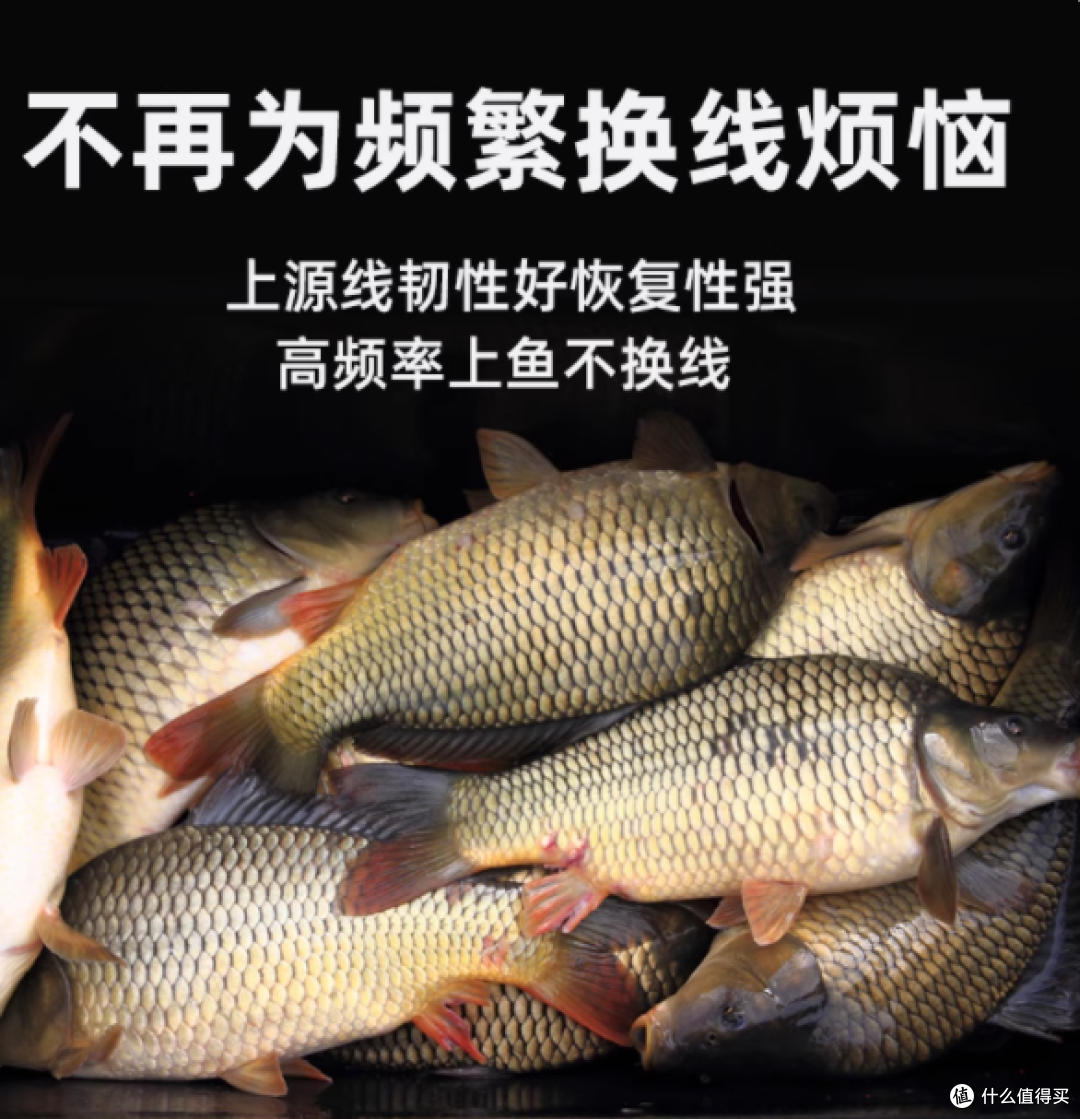 🎣爆护党狂喜!千寿鱼线这拉力值真的惊到我了‼️