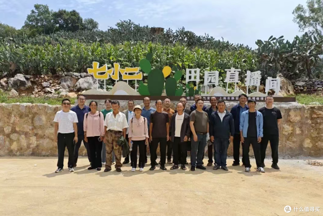 村干部,怎么就成了“十恶不赦”之徒了?