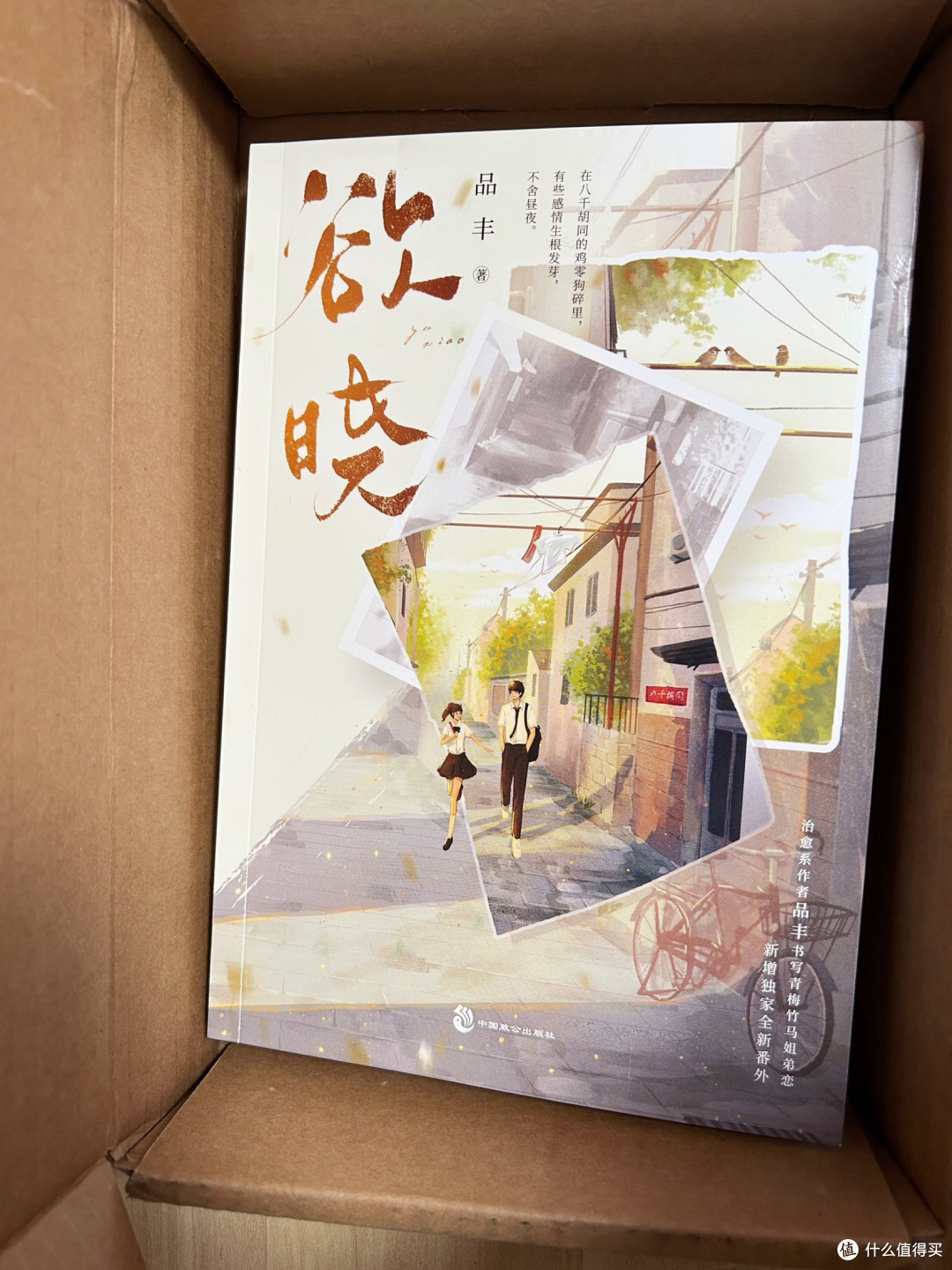 欲晓 青春文学校园都市言情小说治愈系作者品丰代表作
