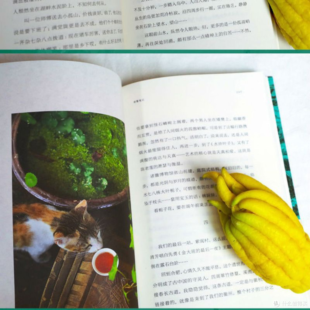 河山册页散文钱红丽 著江苏凤凰文艺出版社正版图书
