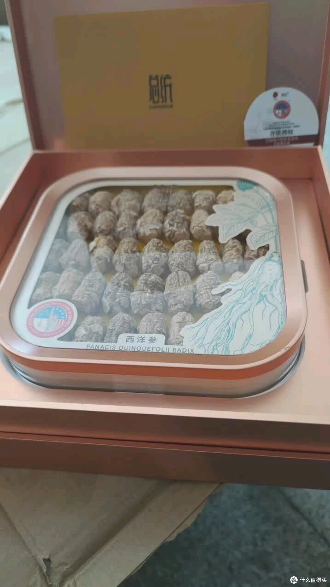 同仁堂3#美国泡参体验分享