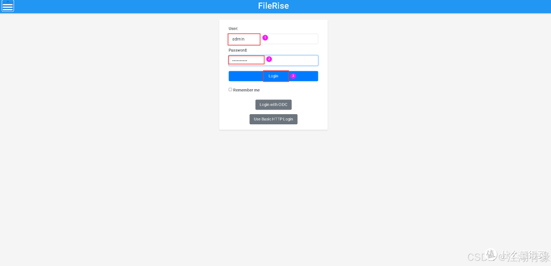 技术分享:使用Docker快速上线FileRise文件管理器