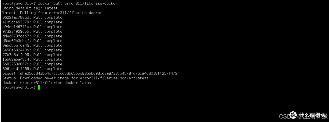 技术分享:使用Docker快速上线FileRise文件管理器
