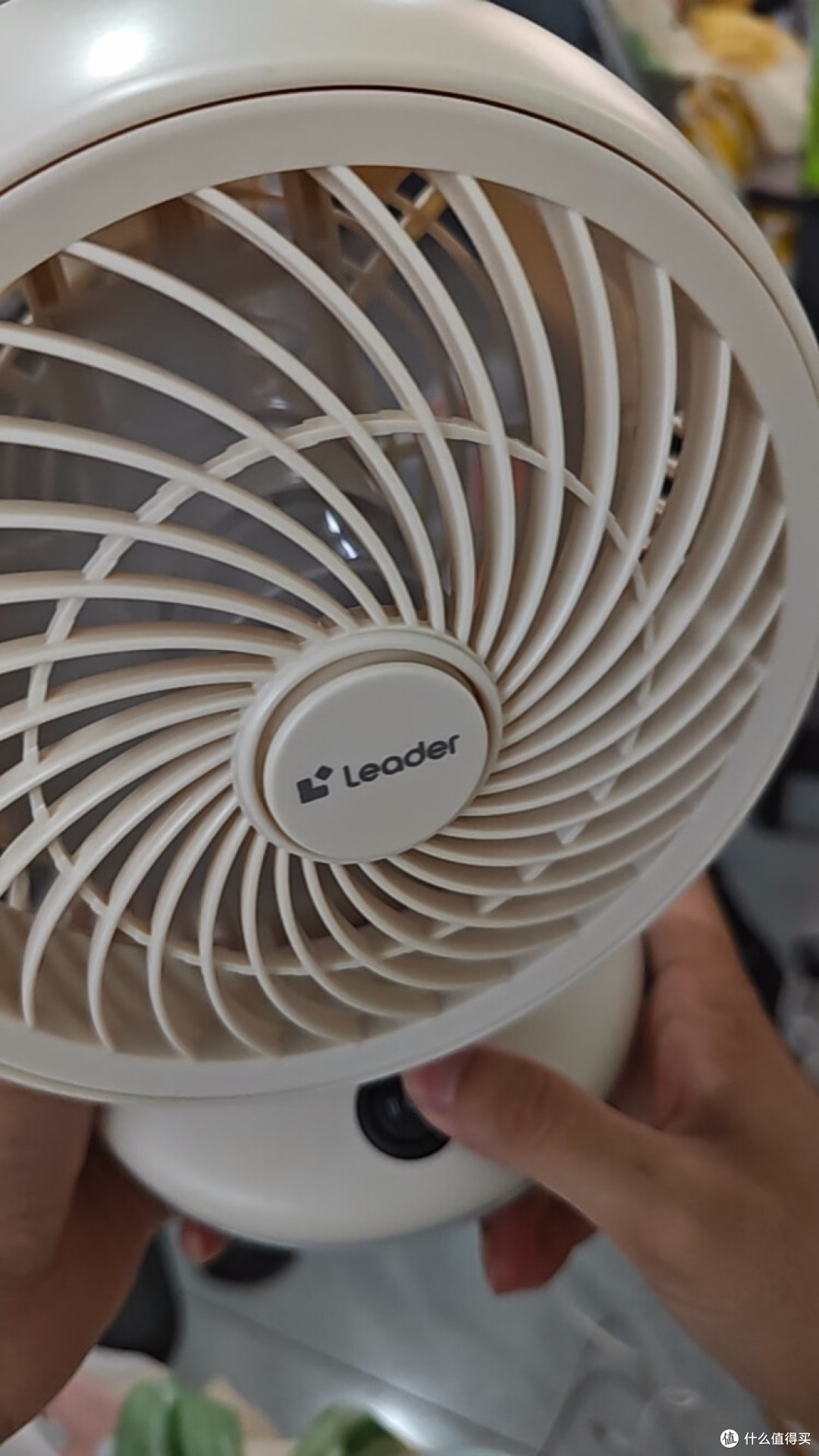 Leader循环扇：小空间的清凉解决方案