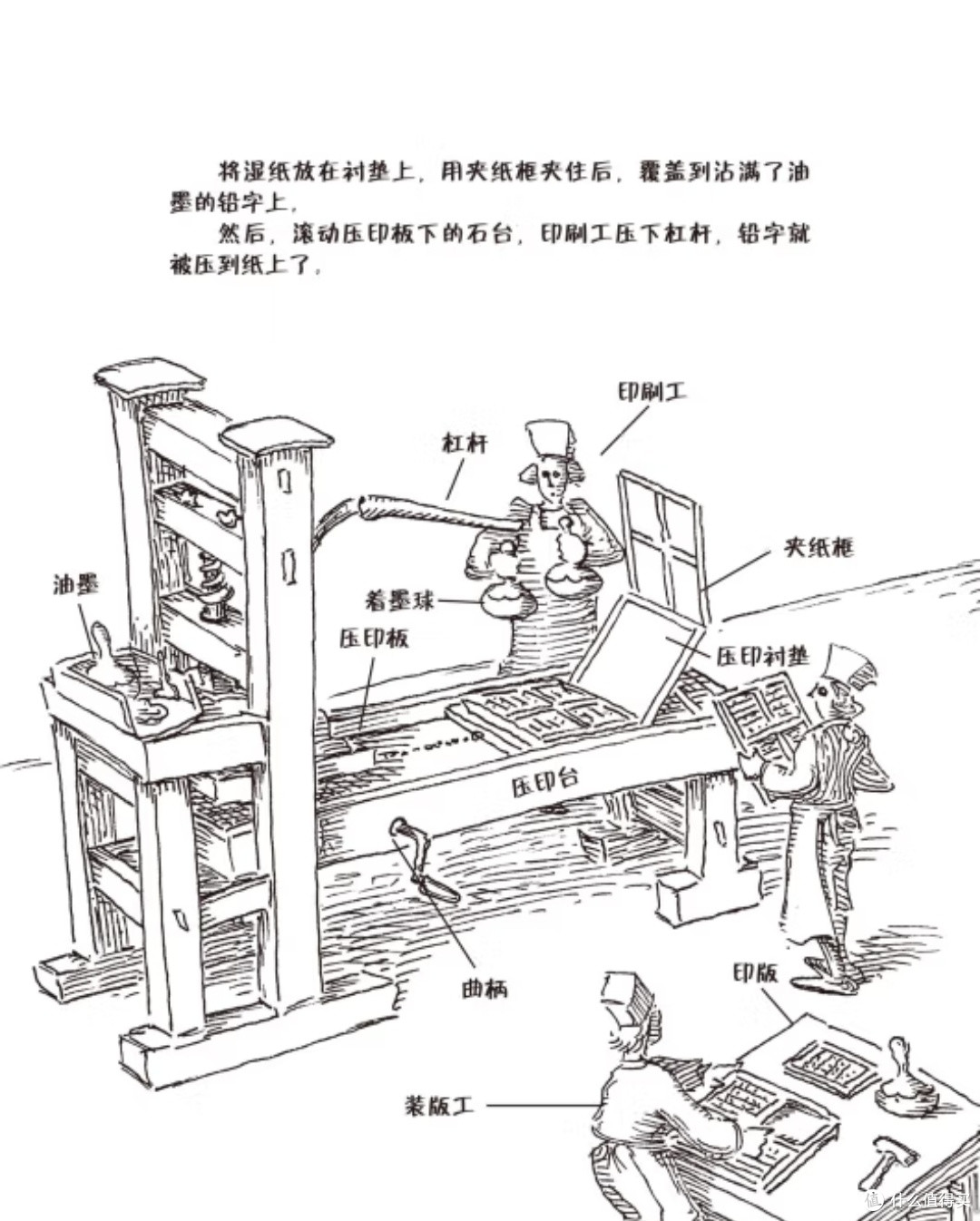 跨越时空的启蒙者:《谁是富兰克林》中的多面人生与儿童教育价值
