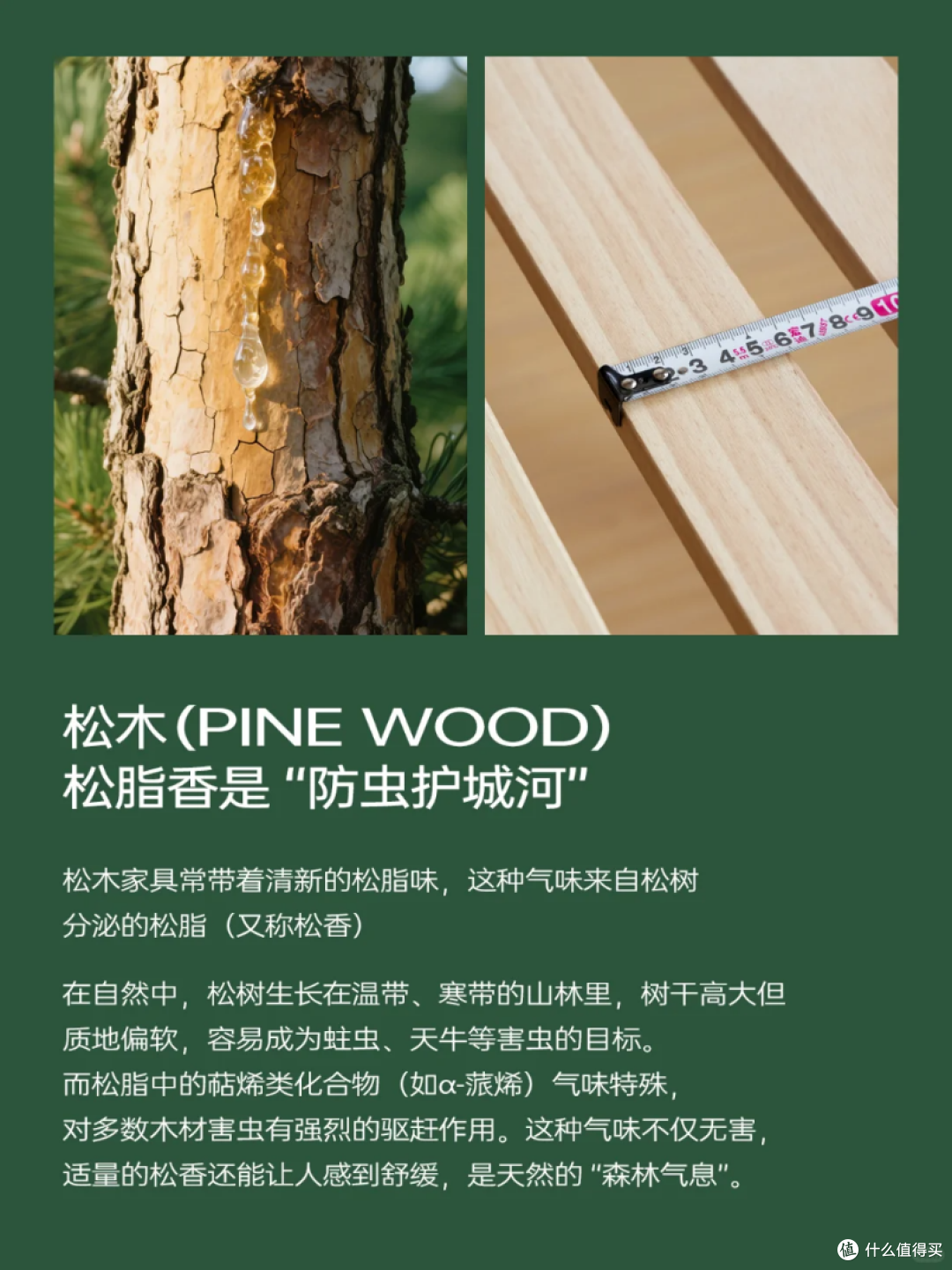 源氏木语实木家具为什么有气味?大自然的味道,生命力的证明
