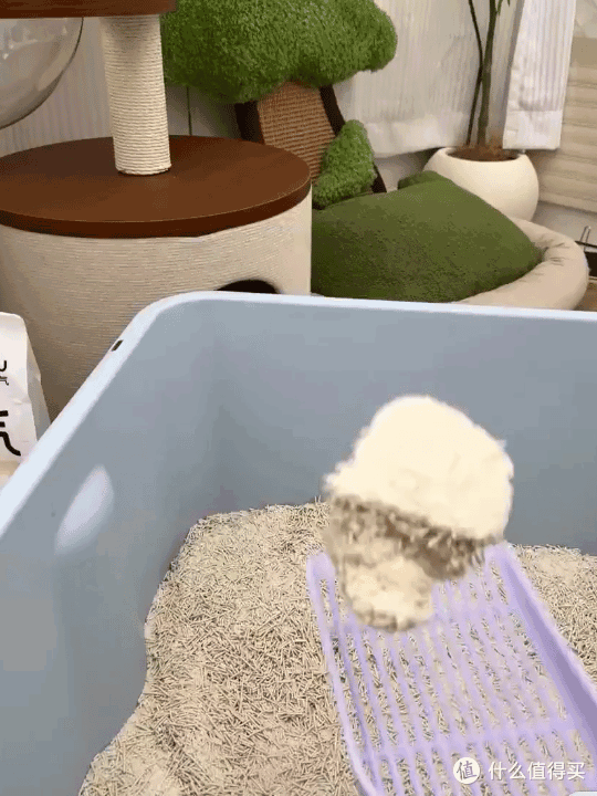 有宠物后,有哪些东西,是你买过,觉得有用的?