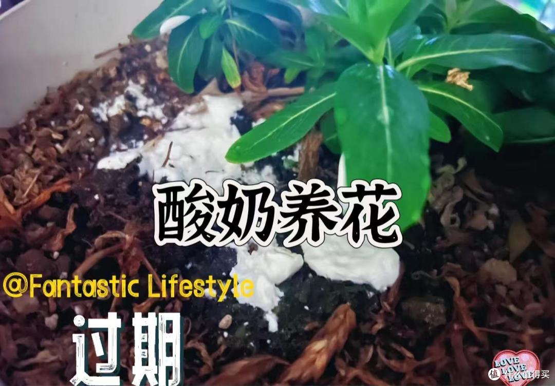 这8样东西“过期也别扔”，换个思路用，比专买的家居物品还好用