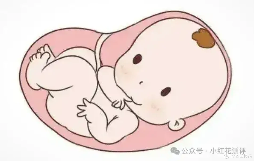 吃肠粉会导致绝后?黑心商家加硼砂,小心这种「筋道」肠粉!