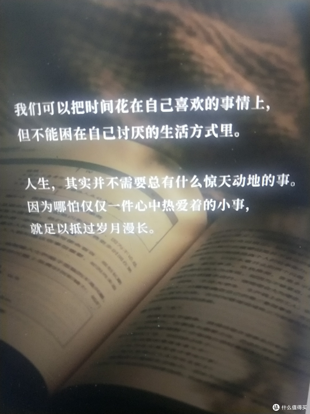专注自我成长,远离内耗
