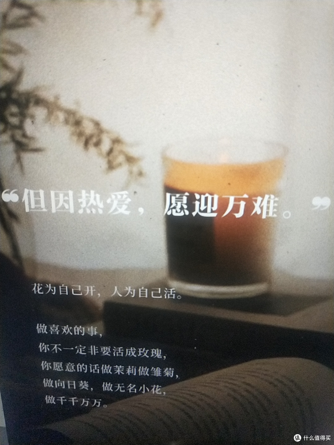 专注自我成长,远离内耗
