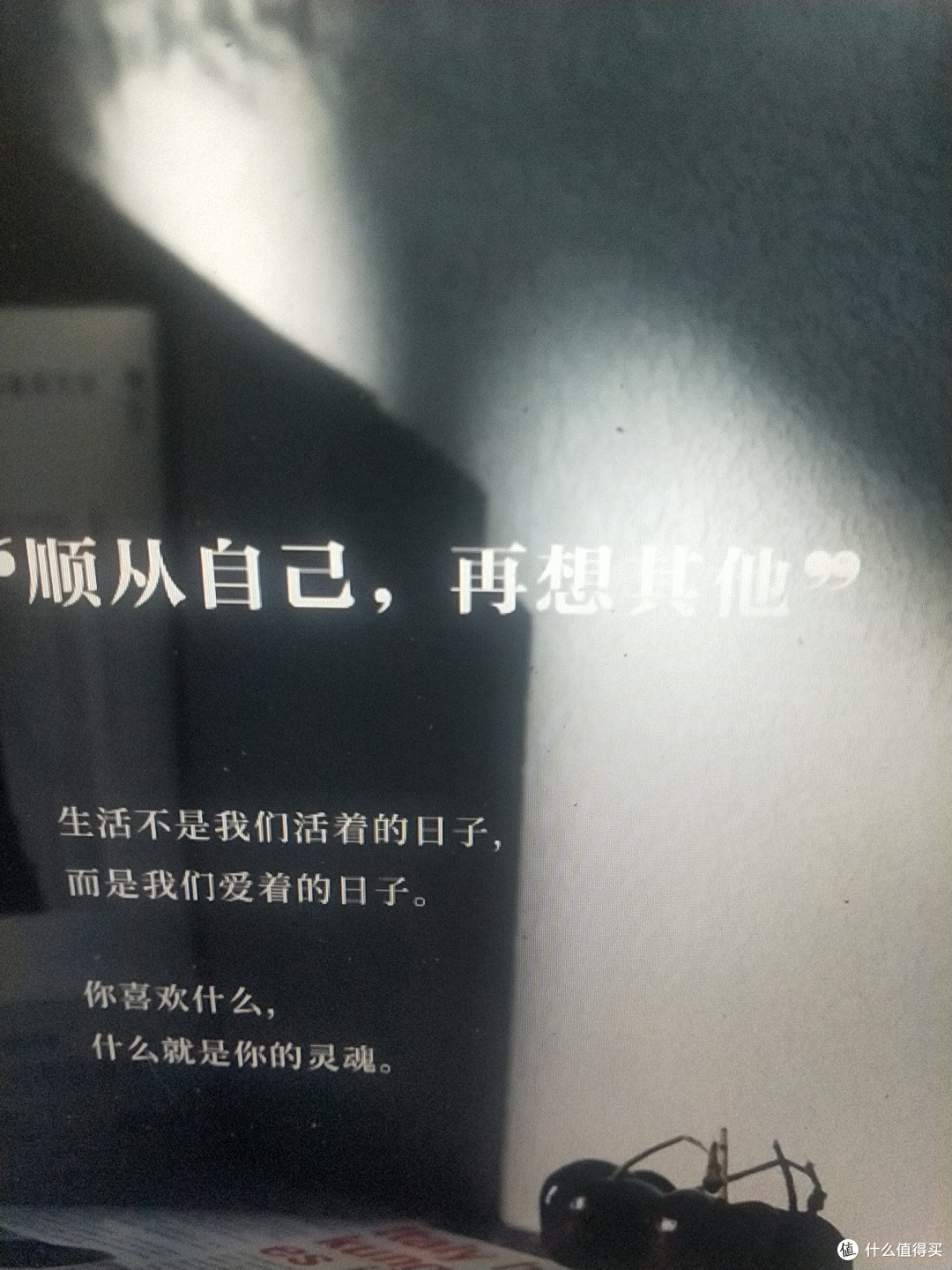 专注自我成长,远离内耗
