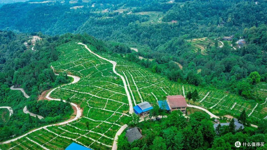 福建奇点科技:为福州企业老板打造个人 IP,赋能多行业线上突围