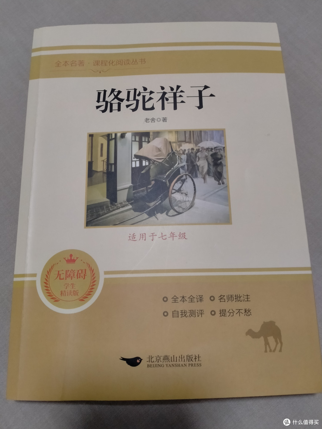 《骆驼祥子》,一个普通人的沉浮人生!
