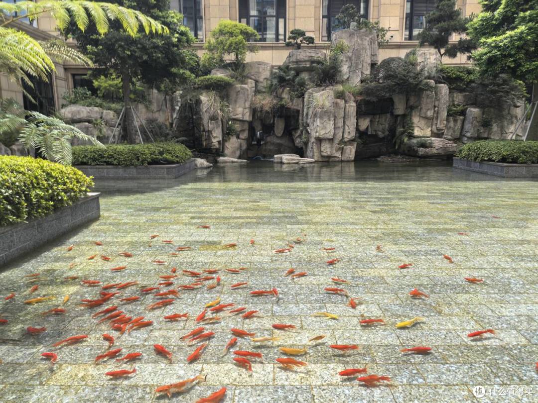 暑期小众人少旅行推荐|两天两晚福建福鼎、霞浦赶海+逛吃全攻略