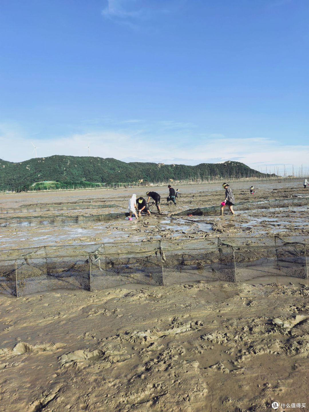 暑期小众人少旅行推荐|两天两晚福建福鼎、霞浦赶海+逛吃全攻略