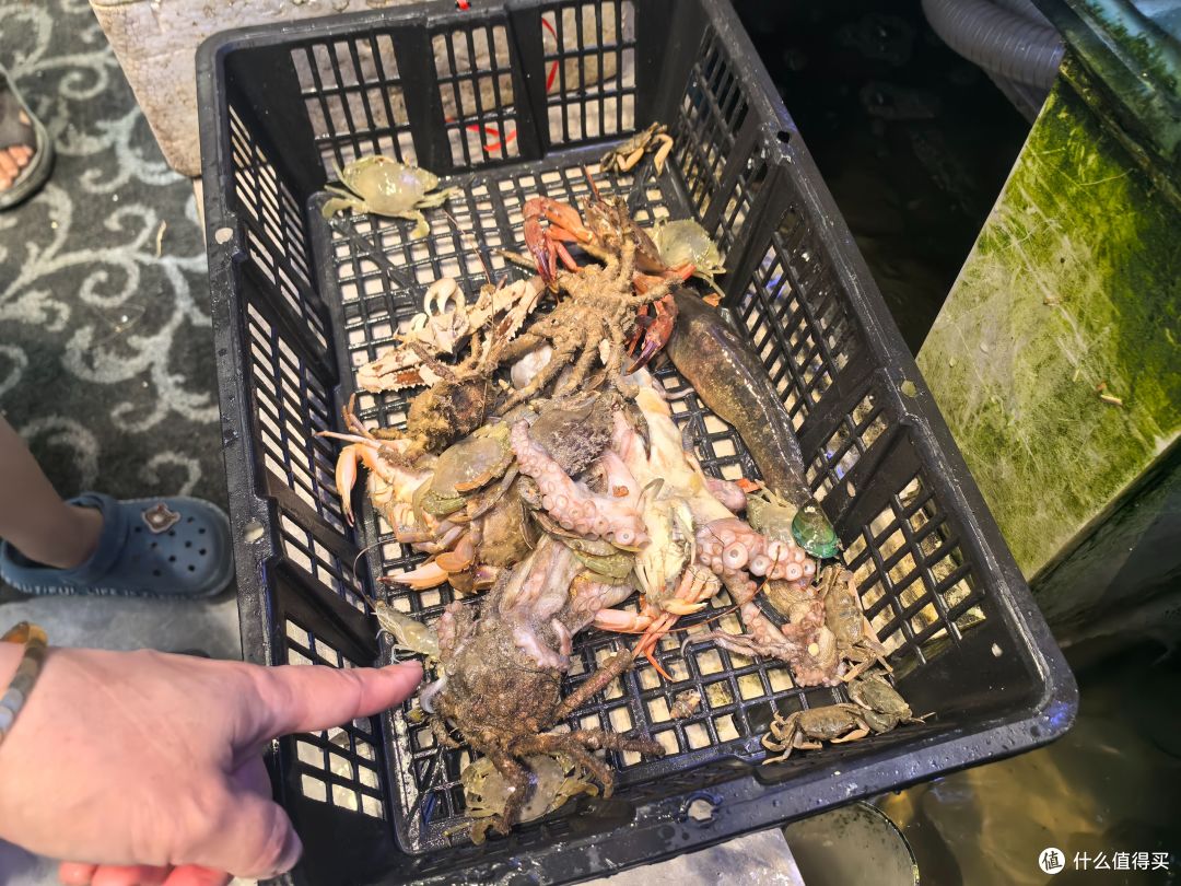 暑期小众人少旅行推荐|两天两晚福建福鼎、霞浦赶海+逛吃全攻略