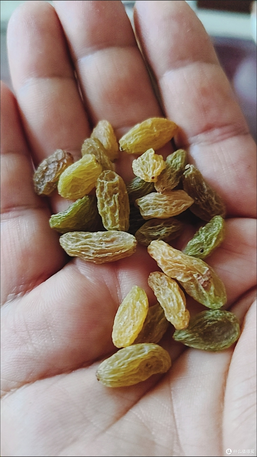 百草味无核绿葡萄干450g新疆特产免洗即食一级大果干无添加零食