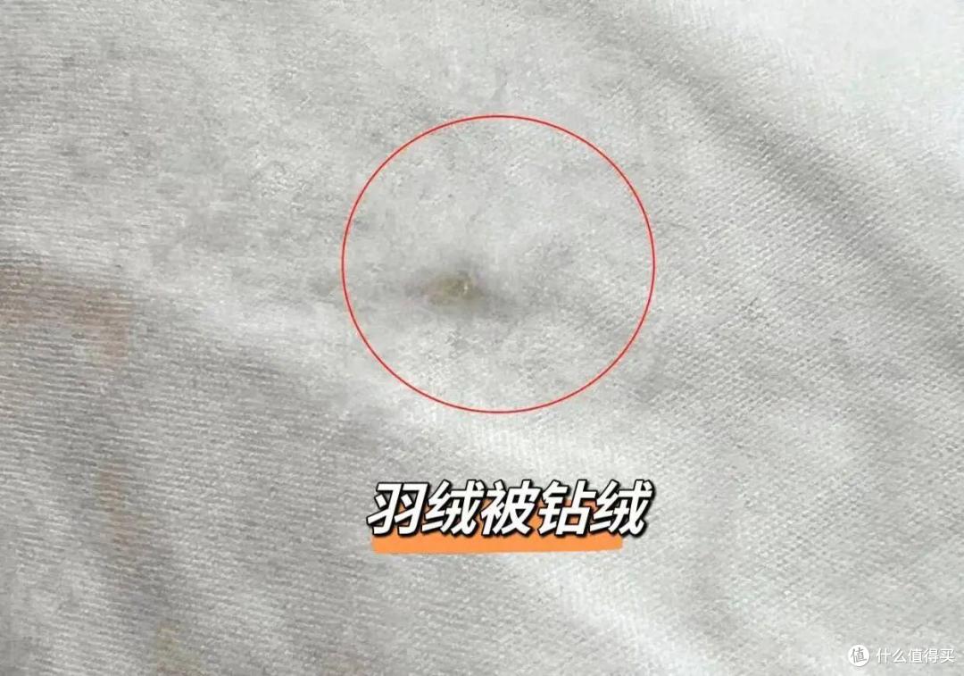 换过4次被子后,我悟了:200元被子和1000元被子,区别真的太大了