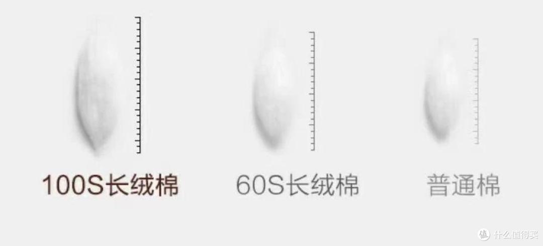 换过4次被子后,我悟了:200元被子和1000元被子,区别真的太大了