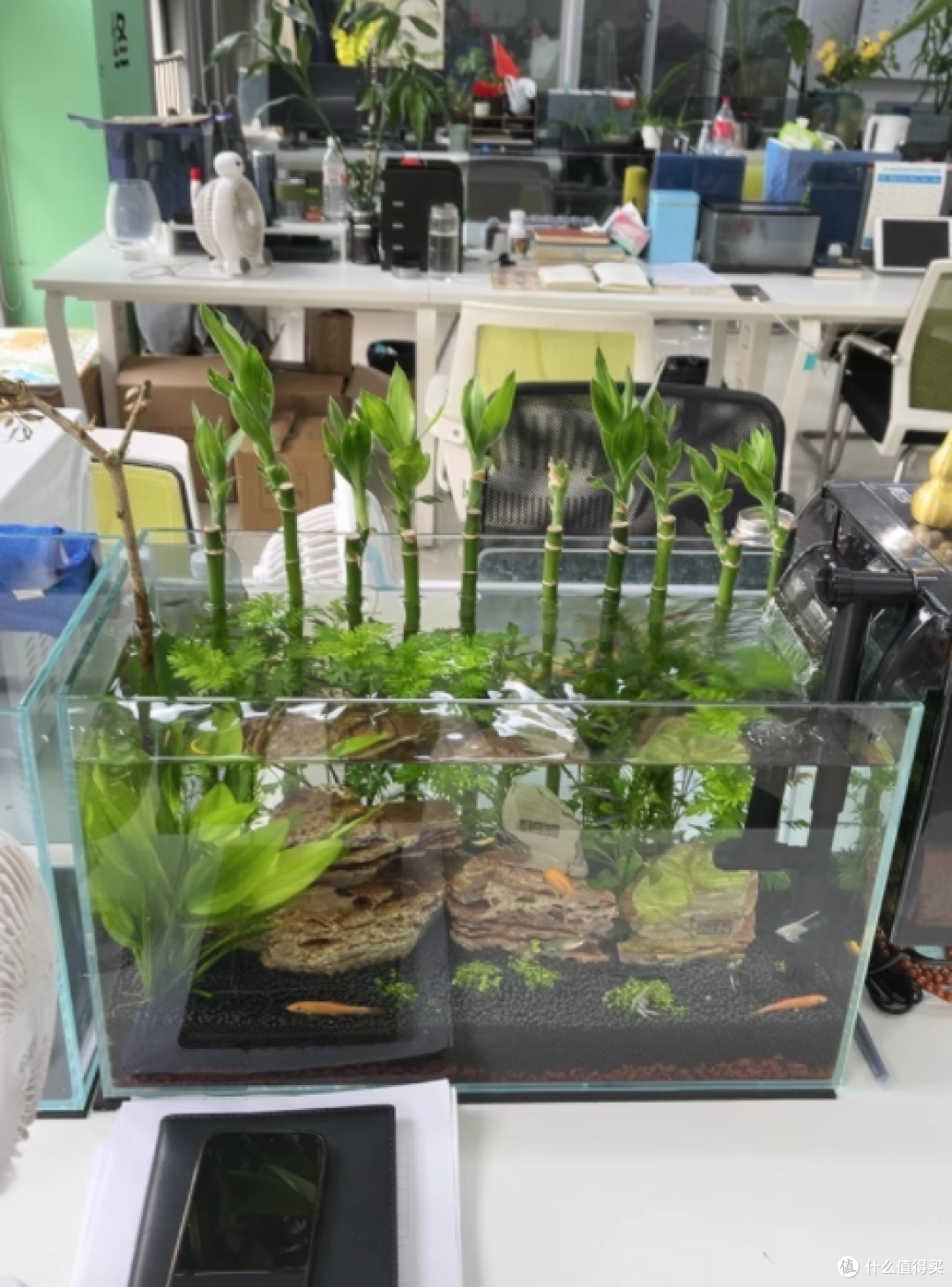 BESSN 金晶五线超白鱼缸玻璃桌面小型:打造精致水族世界