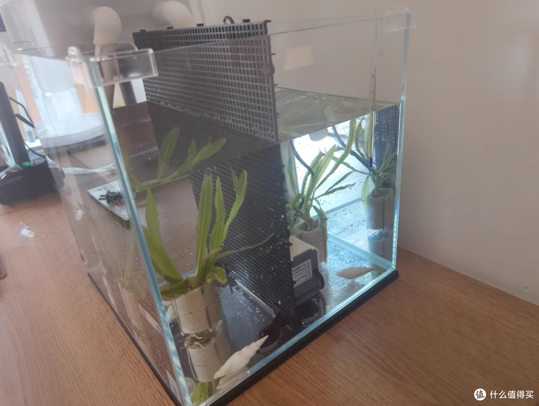 BESSN 金晶五线超白鱼缸玻璃桌面小型:打造精致水族世界